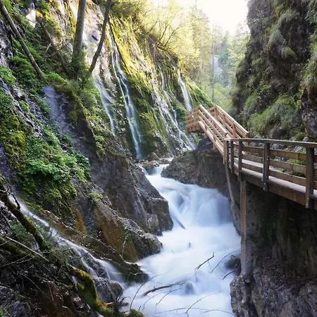 Διαμέρισμα Riegergut *